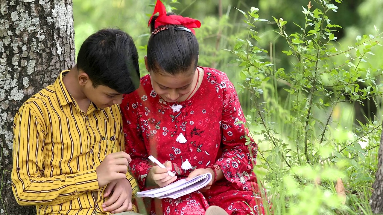 十几岁的兄妹在村里户外学习视频素材