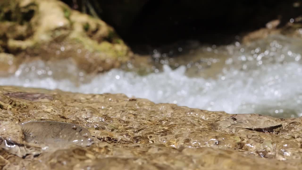 阳光明媚的日子里，水流在瀑布处，迷离的，pahangg瀑布视频素材