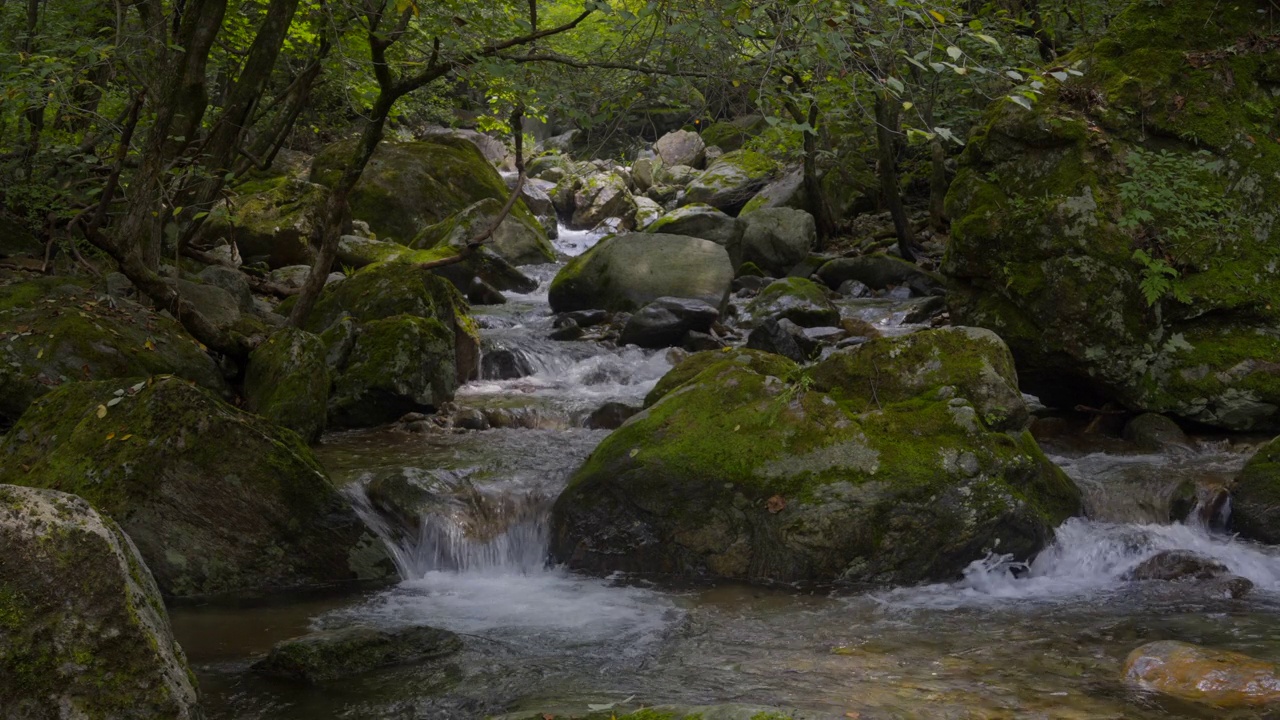 韩国京畿道加平郡，清平面附近山谷里的流水视频素材