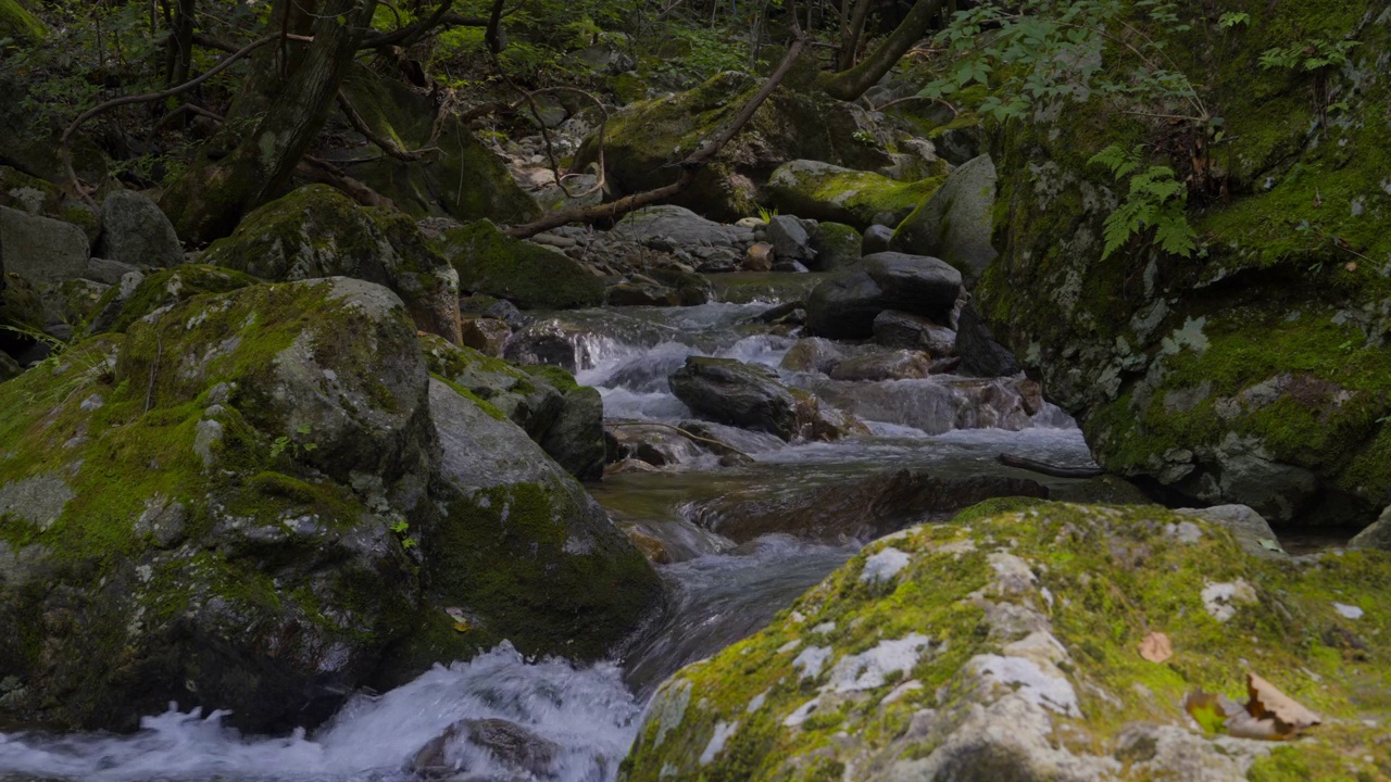 韩国京畿道加平郡，清平面附近山谷里的流水视频素材