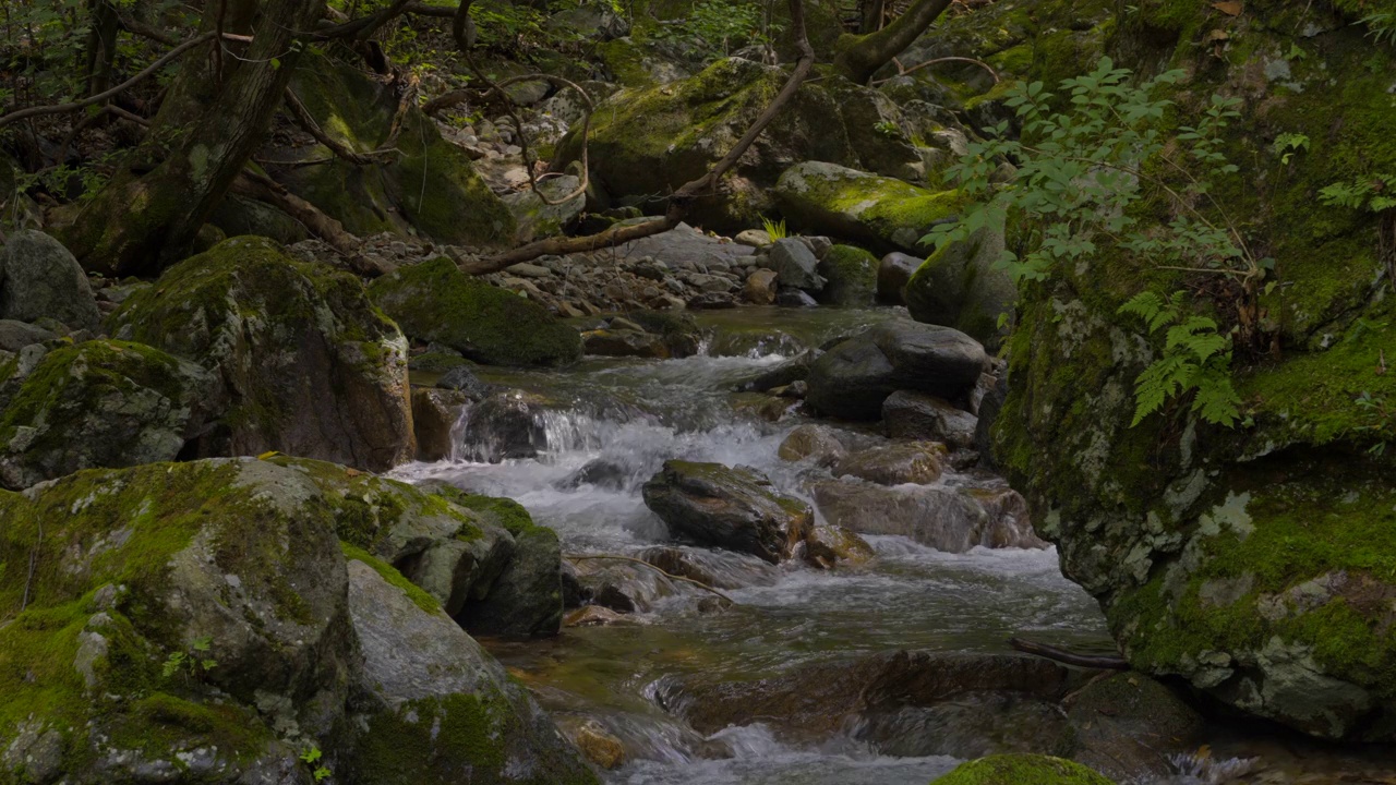 韩国京畿道加平郡，清平面附近山谷里的流水视频素材