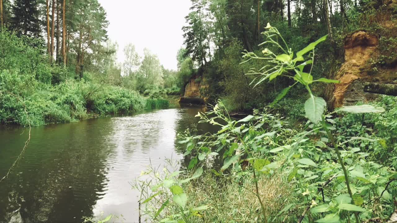 美妙的森林河景与砂岩悬崖视频素材