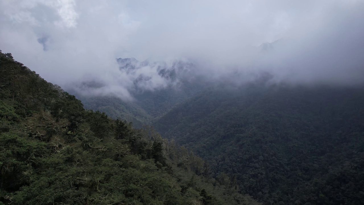 多云的天空在哥伦比亚哥伦比亚亚热带雨林山脉日落视频素材