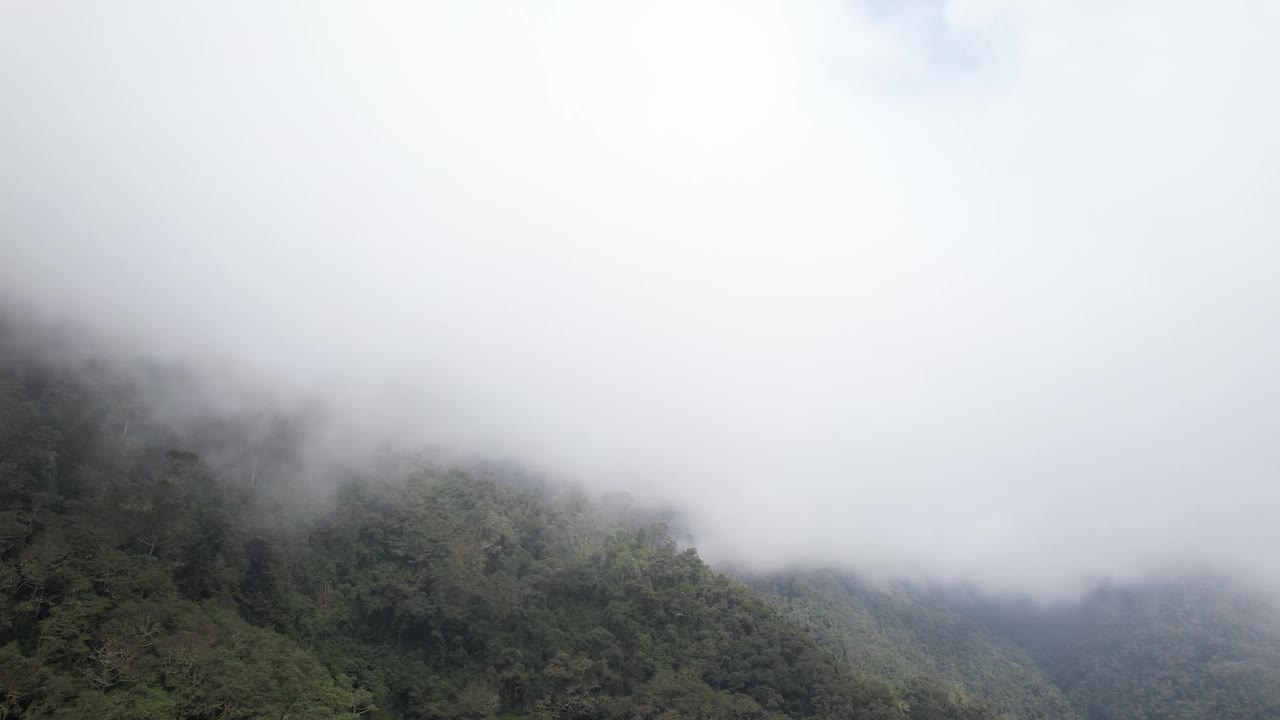 满是树的青山上的薄雾，山中间有一座小房子视频素材