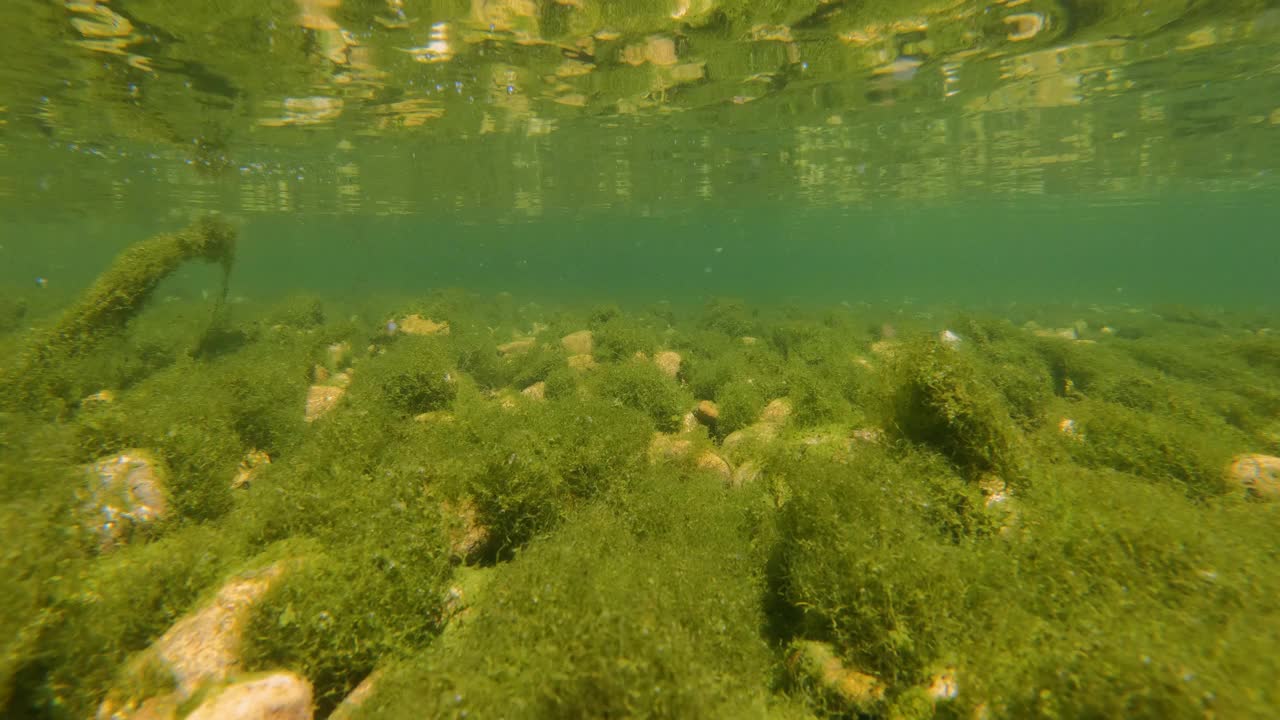 水下:流动的河底长满绿色的鹅卵石和石头视频素材