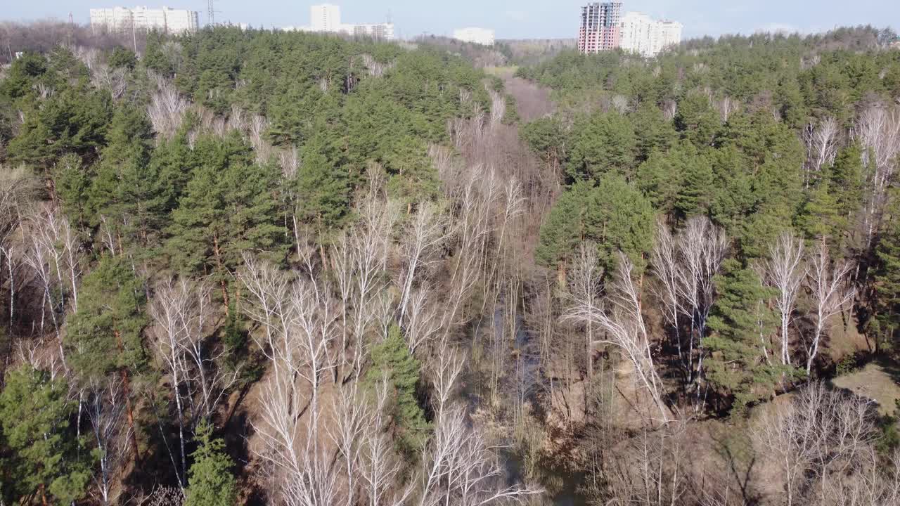 林湖之间的高大树木在春天，鸟瞰视频素材