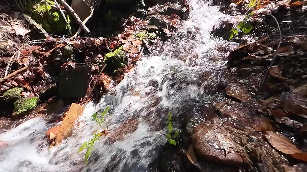 小森林小溪从山上流下，慢动作，泛视频素材