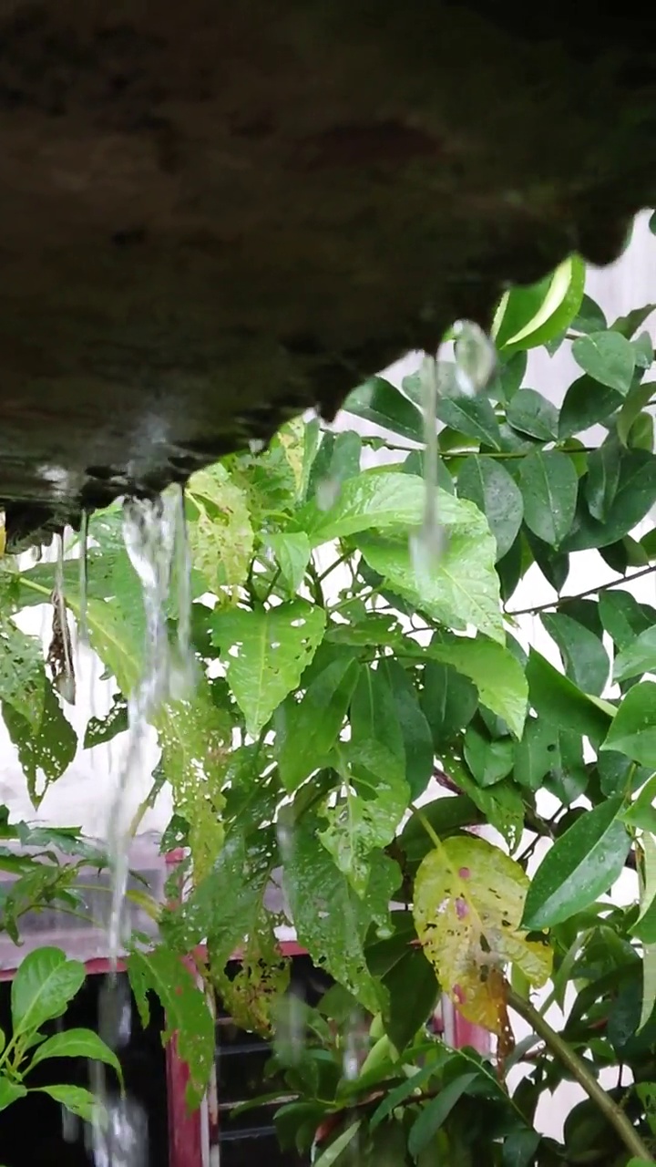 雨水从屋顶滴落下来视频素材