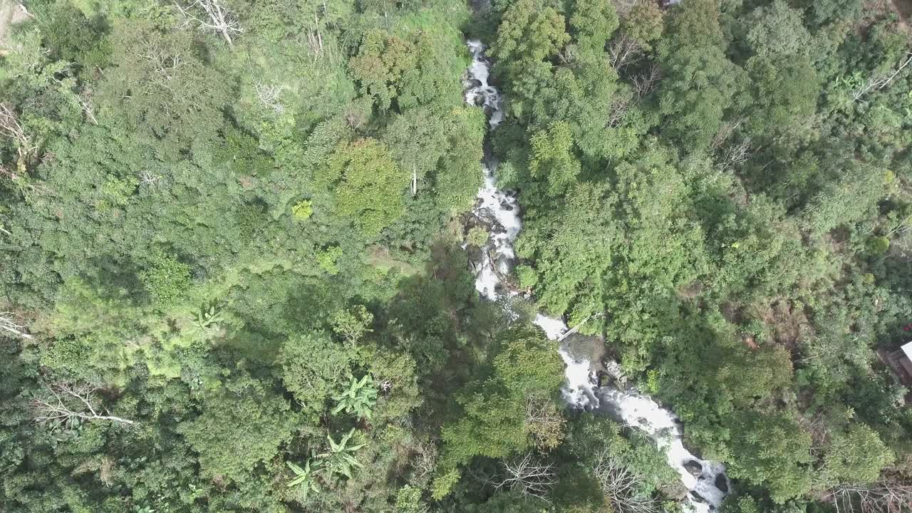 这条河从山上流出来视频素材