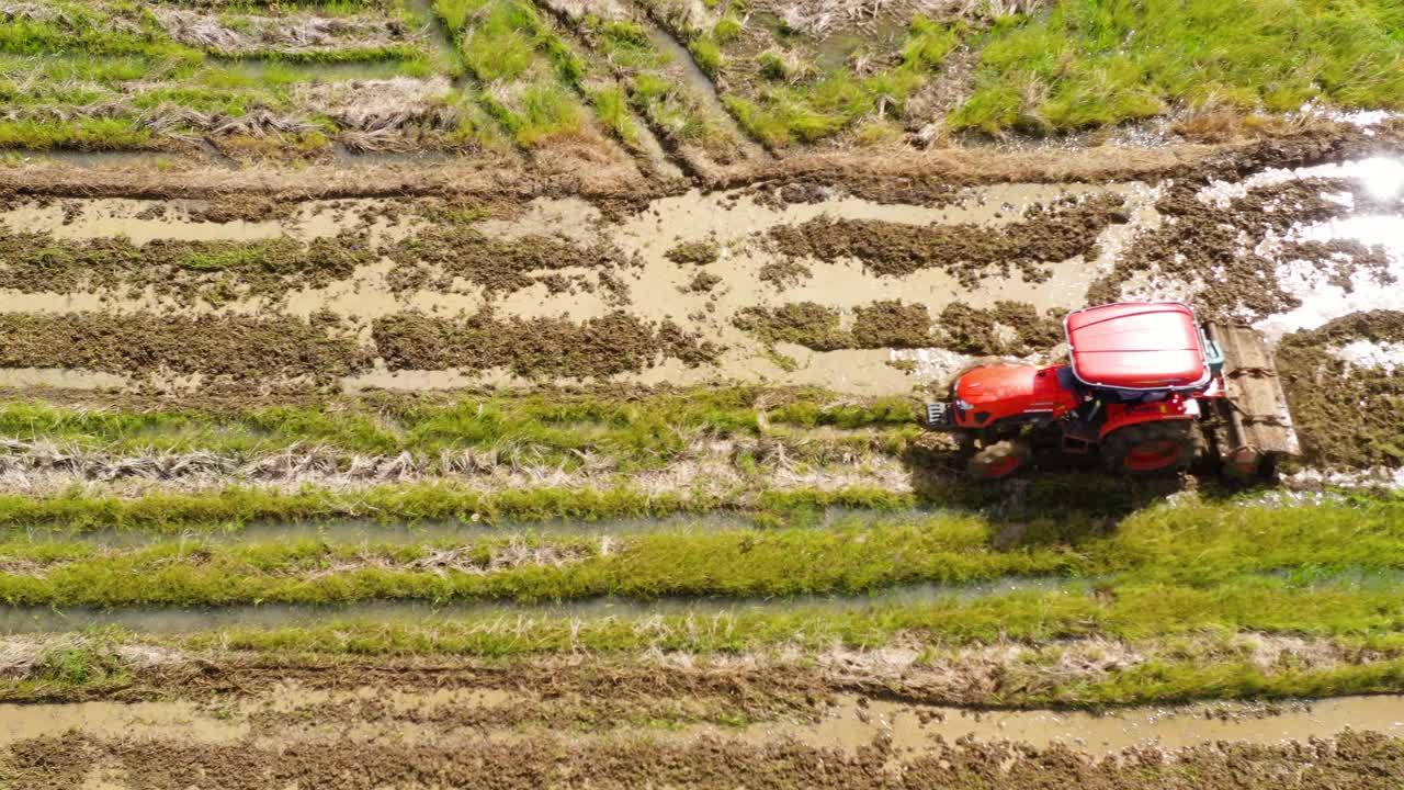 拖拉机犁地播种水稻。视频素材