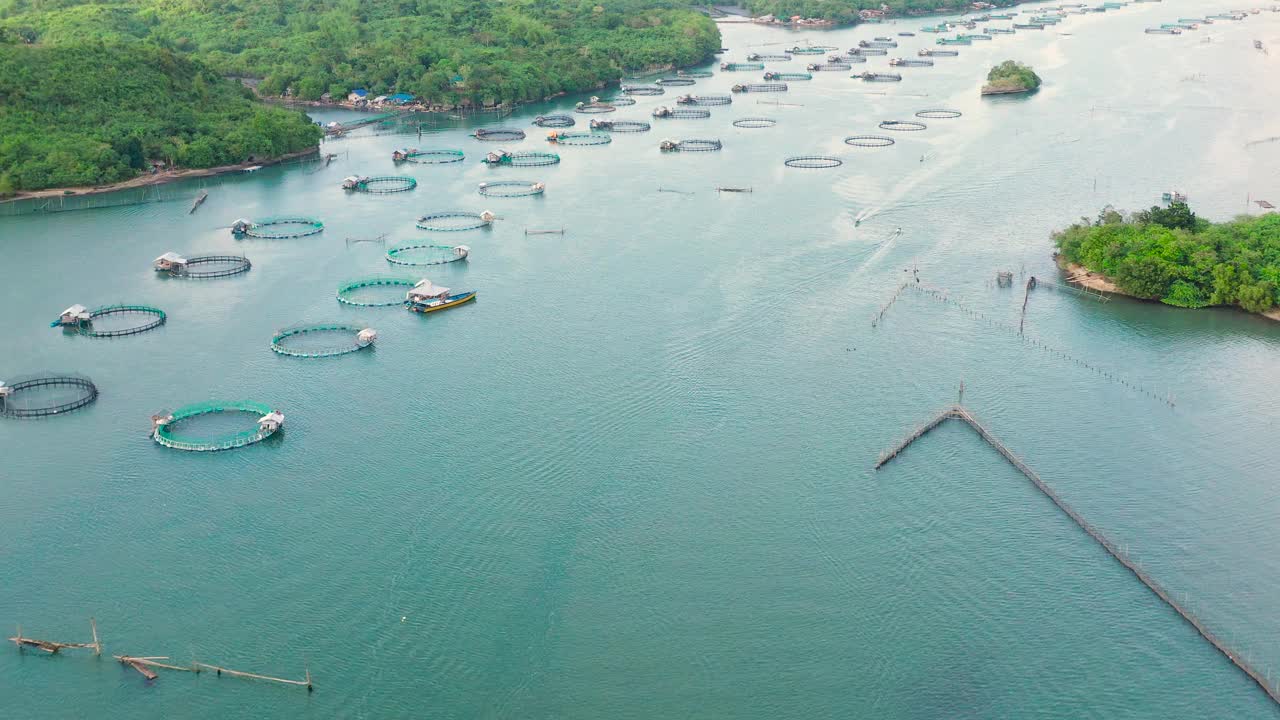 海鱼、遮目鱼鱼塘鸟瞰图。视频素材