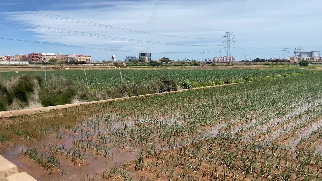 淹水耕地视频素材