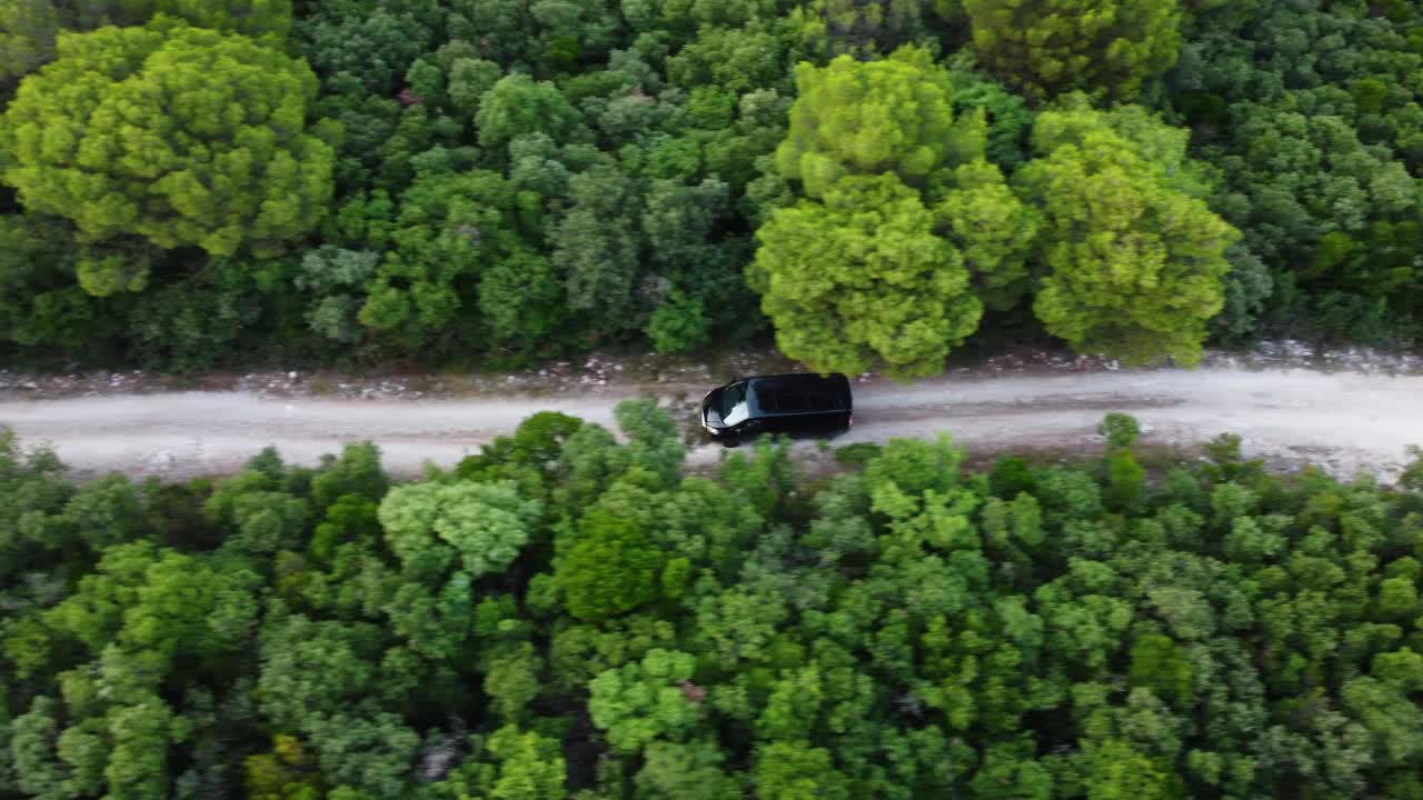 航拍的森林中被树木包围的道路视频素材