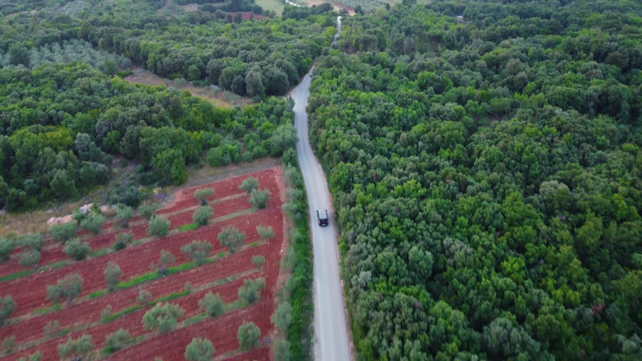 航拍的森林中被树木包围的道路视频素材