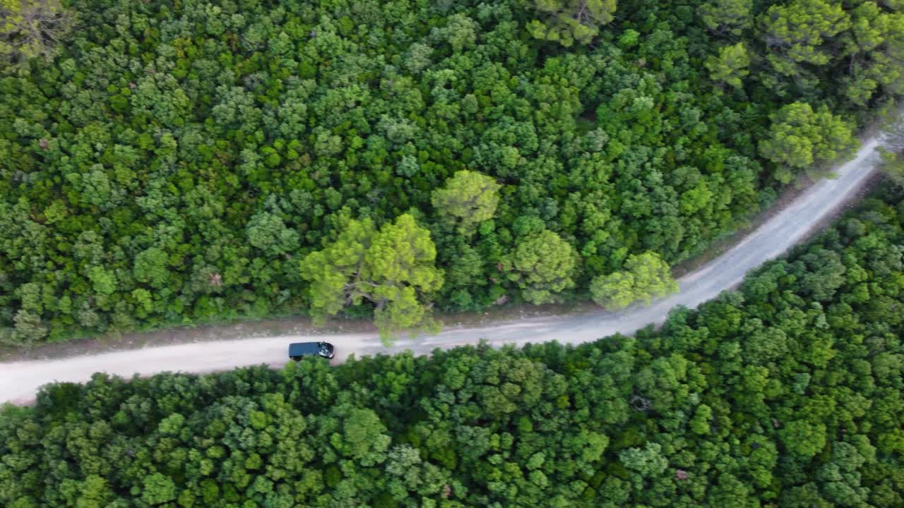 航拍的森林中被树木包围的道路视频素材