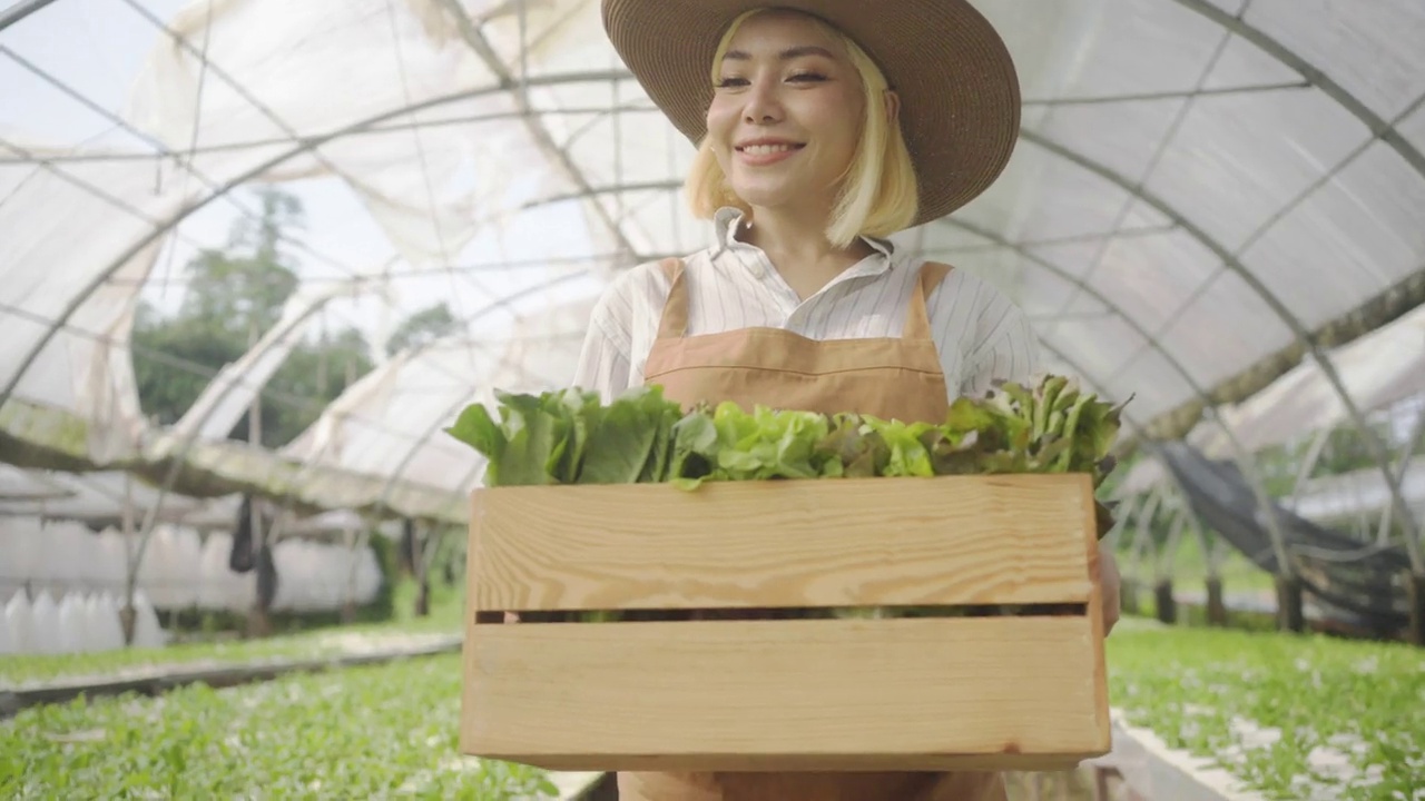 年轻漂亮的女人拿着蔬菜。视频素材