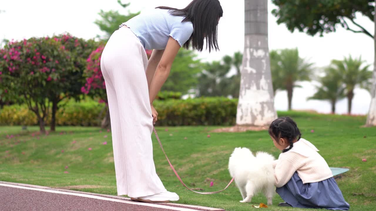 小女孩和博美犬玩耍视频素材