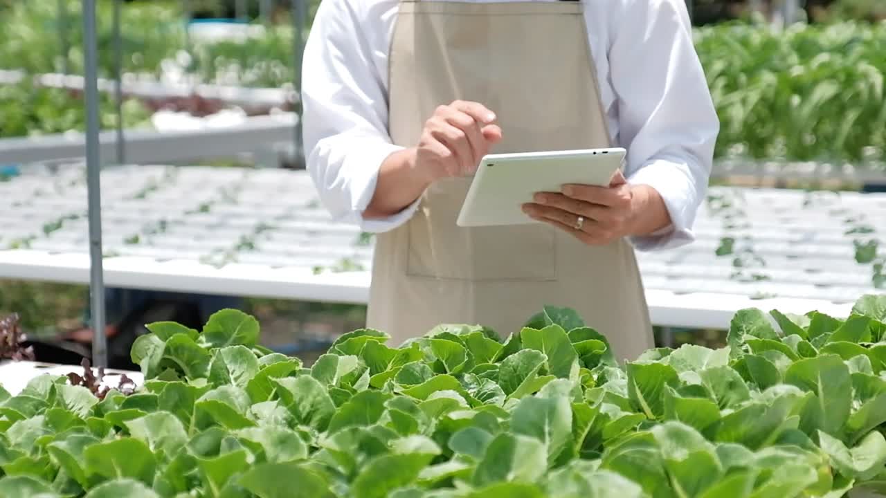 亚洲男子在温室工作时使用平板电脑。快乐的亚洲人照顾准备出售的植物。视频下载