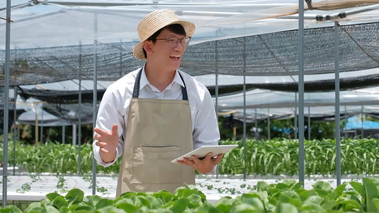 亚洲男子在温室工作时使用平板电脑。快乐的亚洲人照顾准备出售的植物。视频素材