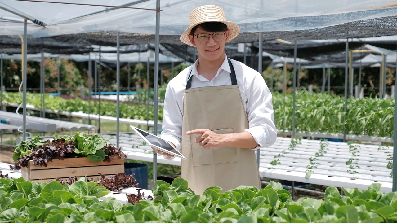 亚洲男子在温室工作时使用平板电脑。快乐的亚洲人照顾准备出售的植物。视频素材