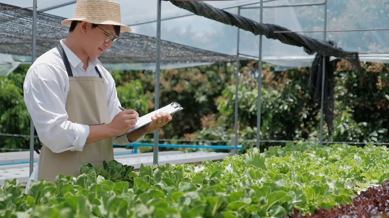 亚洲男子在温室工作时使用平板电脑。快乐的亚洲人照顾准备出售的植物。视频下载