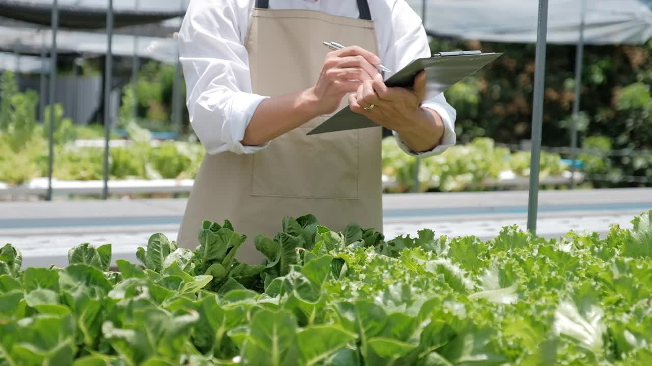 亚洲男子在温室工作时使用平板电脑。快乐的亚洲人照顾准备出售的植物。视频下载