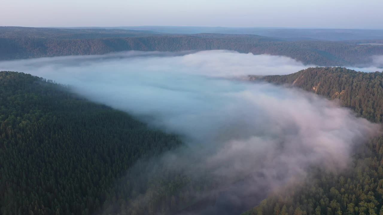 从空中俯瞰，在针叶林覆盖的山脉之间的河谷中，清晨的雾霾视频素材