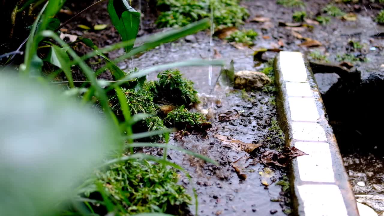 雨滴打湿了地面和院子里的草的短视频视频素材