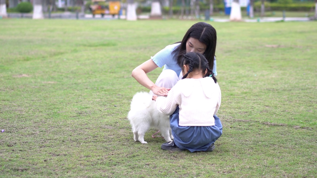 年轻女子在公园里和宠物玩耍视频素材