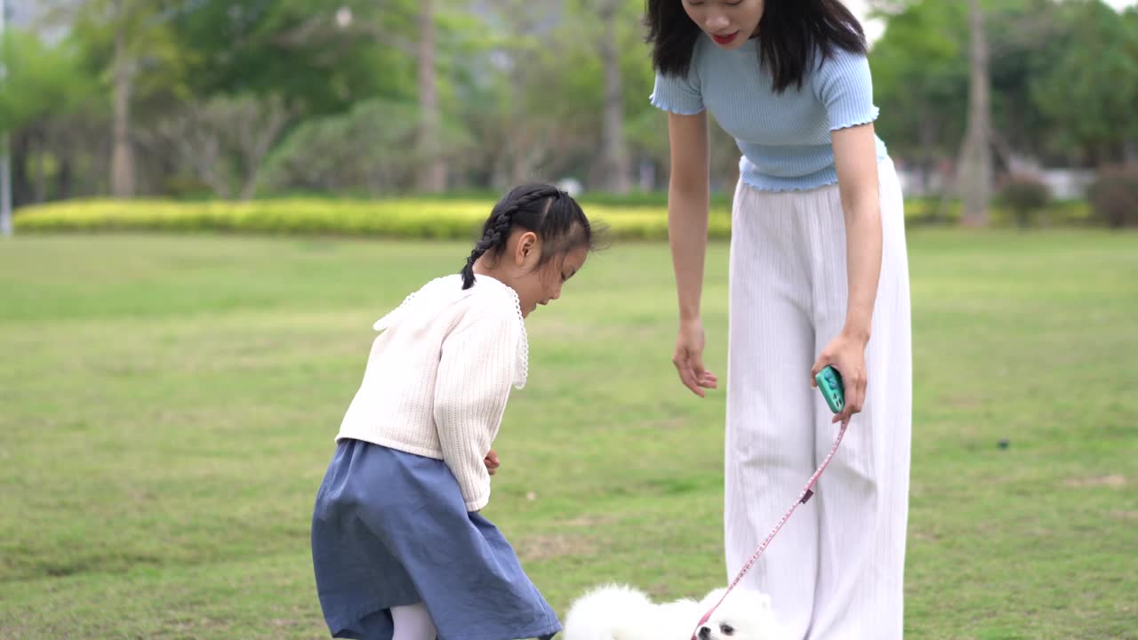 一个女人和一只博美犬在公园里玩耍视频素材