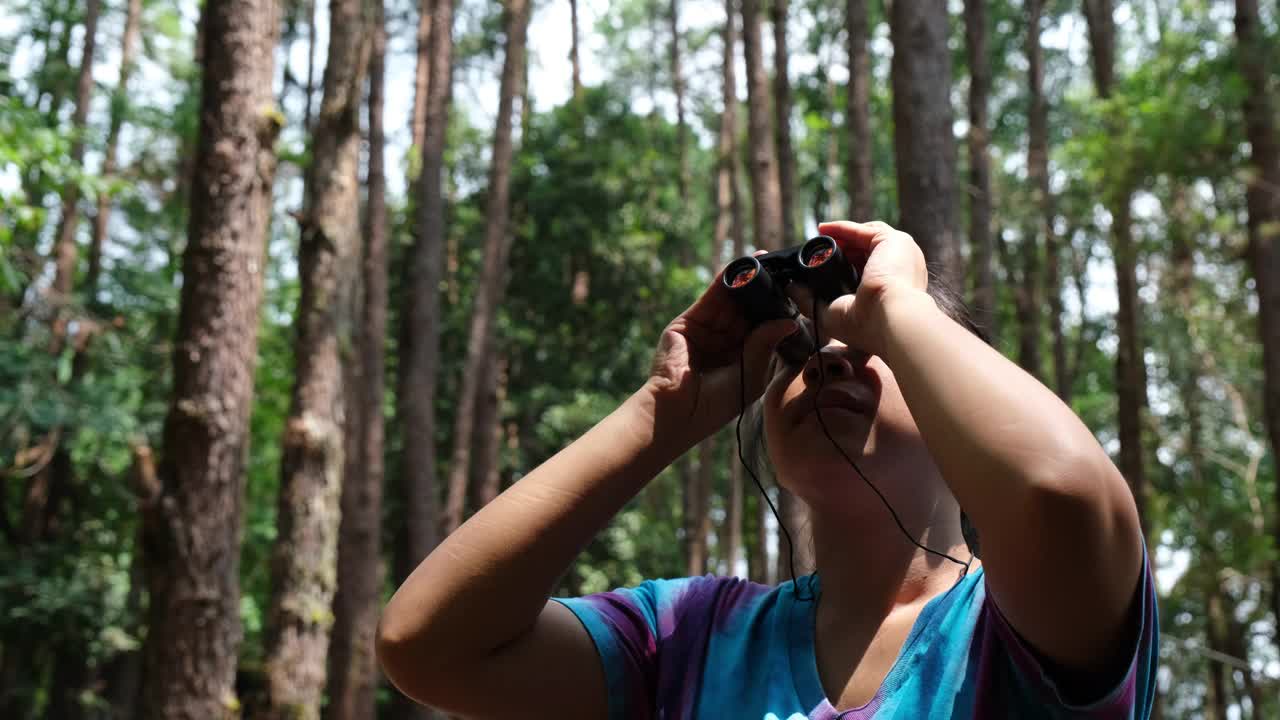 年轻女子用双筒望远镜观察森林里的鸟。女游客带着工具在森林里观察大自然。健康生活方式和生态旅游。视频素材