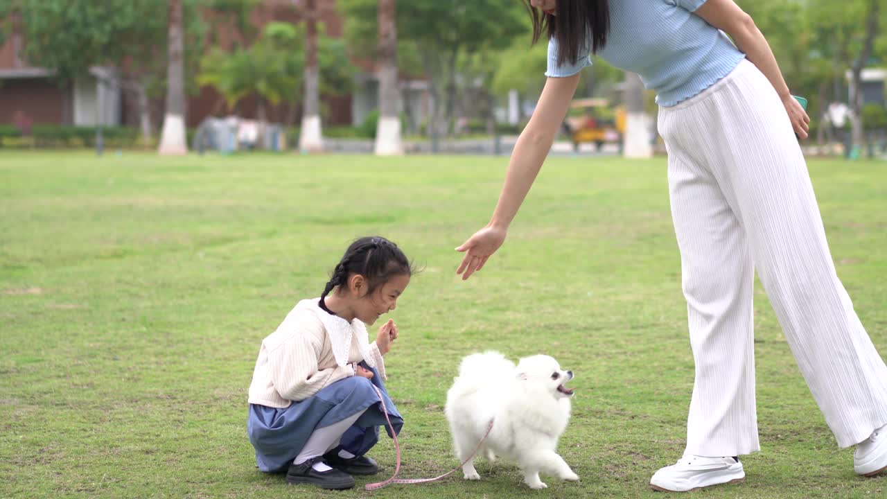 年轻女子在公园里和宠物玩耍视频素材