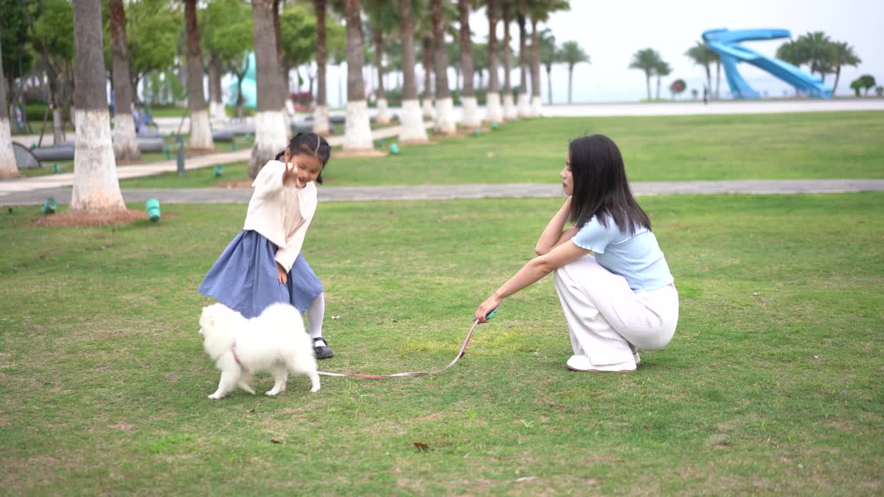 一个女人和一只博美犬在公园里玩耍视频素材