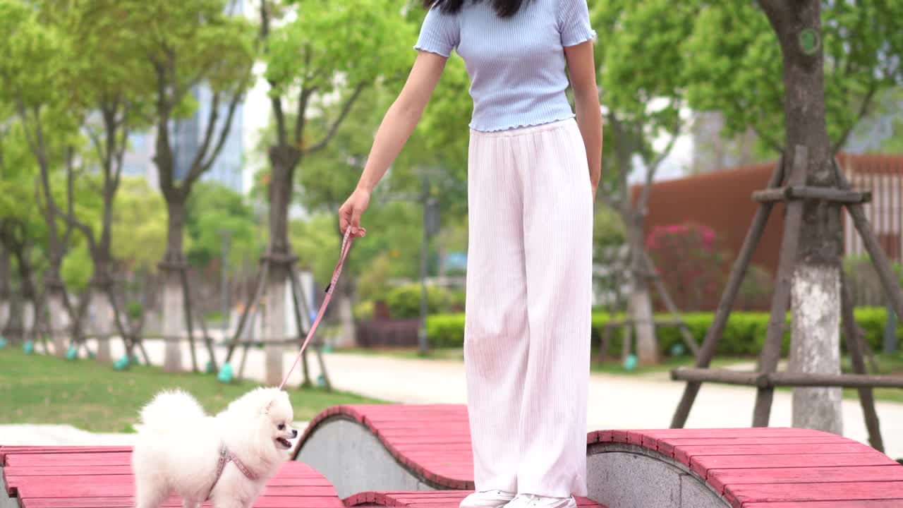 一个女人和一只博美犬在公园里玩耍视频素材