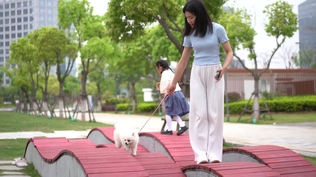 一个女人和一只博美犬在公园里玩耍视频素材