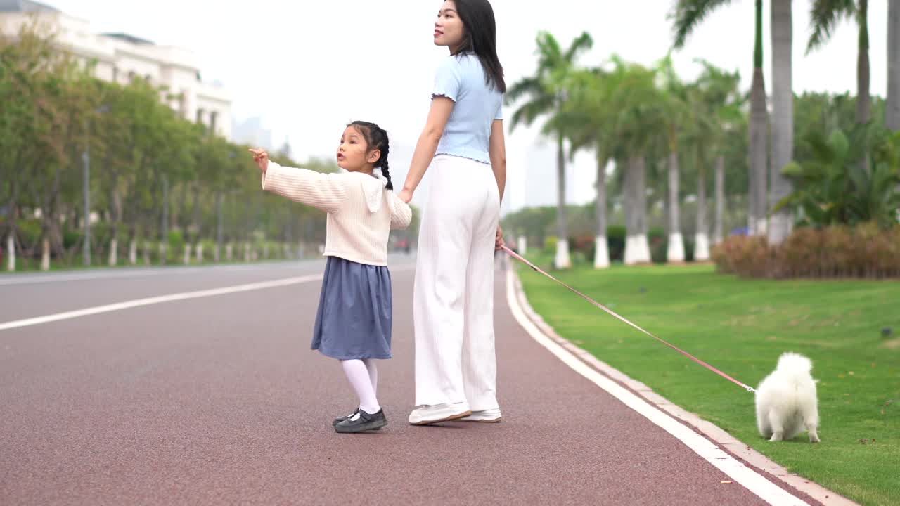 一个女人和一只博美犬在公园里玩耍视频素材