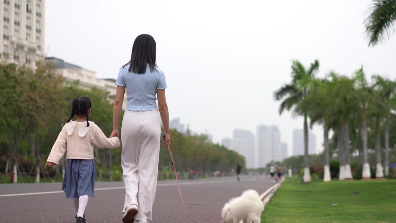 一个女人和一只博美犬在公园里玩耍视频素材