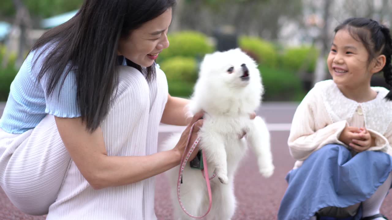 一个女人和一只博美犬在公园里玩耍视频素材