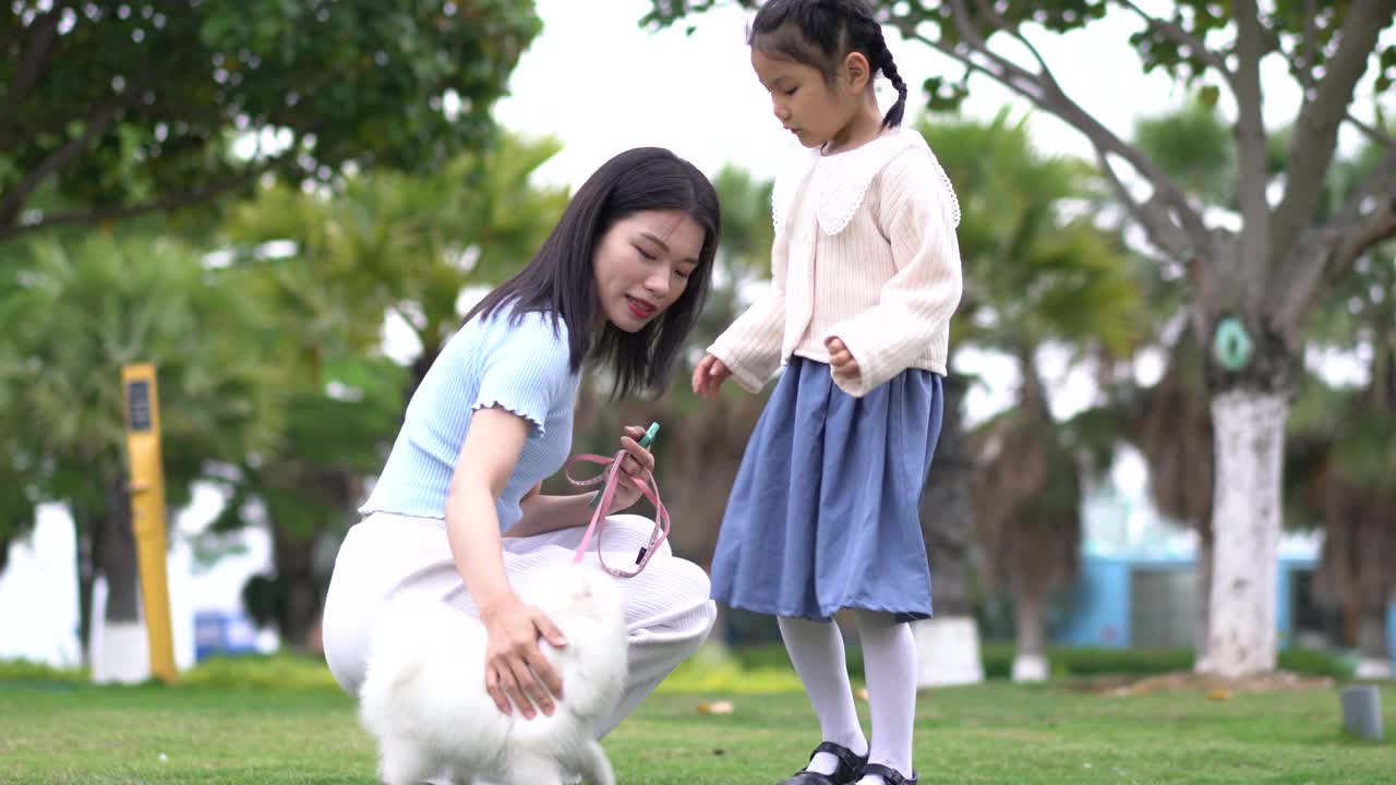 一个女人和一只博美犬在公园里玩耍视频素材