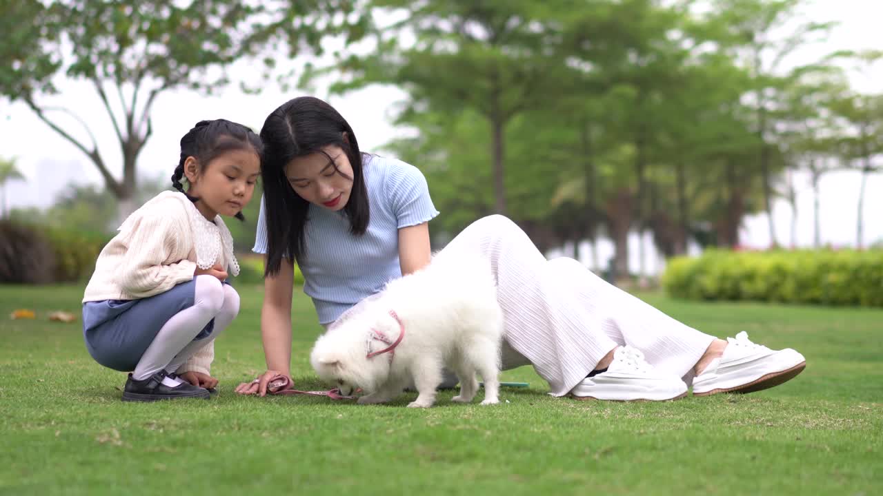 年轻女子在公园里和宠物玩耍视频素材