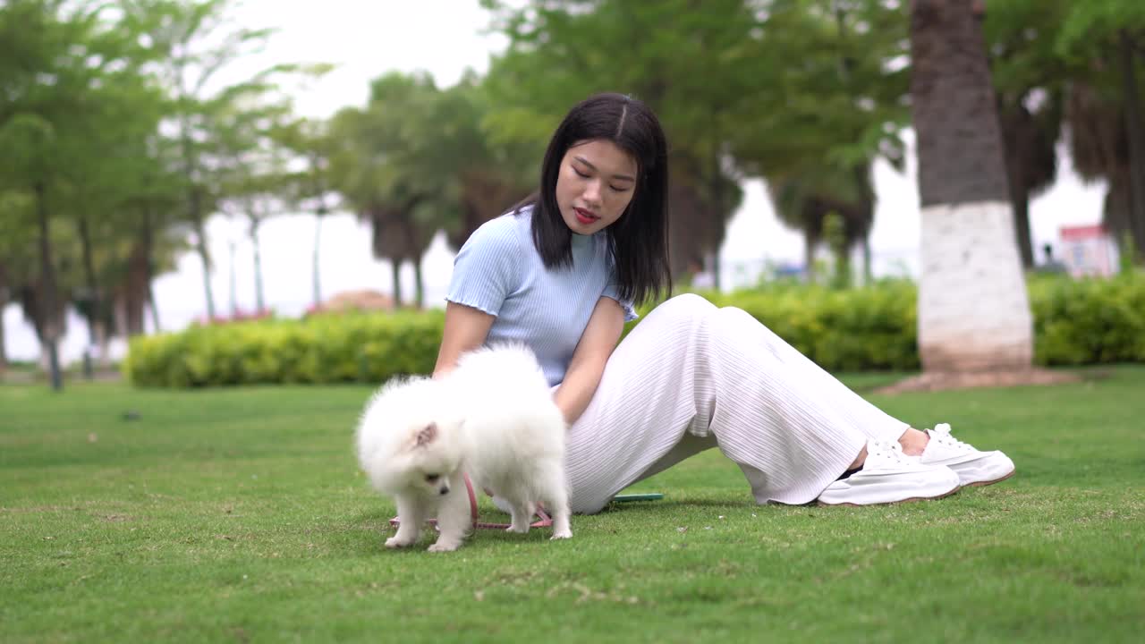 一个女人和一只博美犬在公园里玩耍视频素材