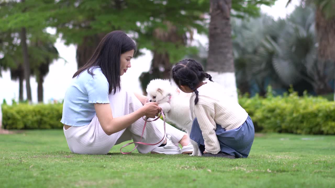 一个女人和一只博美犬在公园里玩耍视频素材