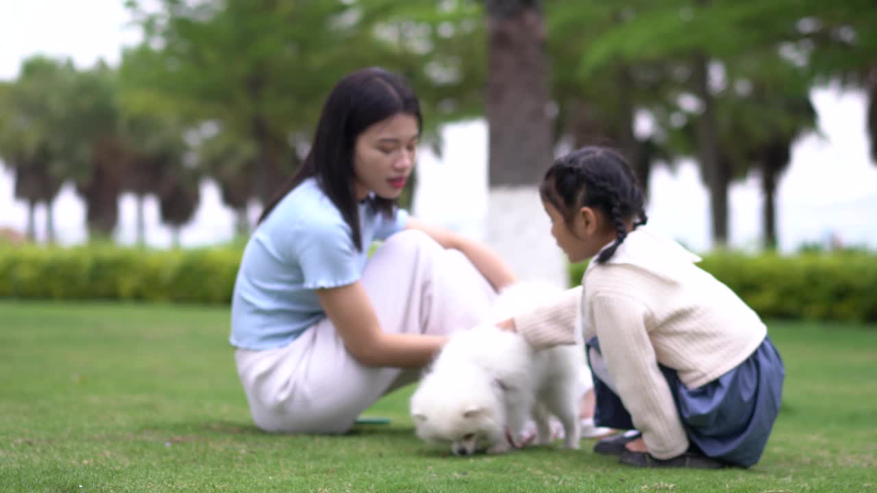 在公园里与小孩和宠物玩耍的年轻女子视频素材