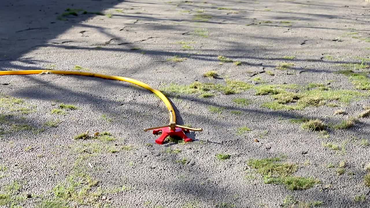 用洒水器灌溉草地视频素材