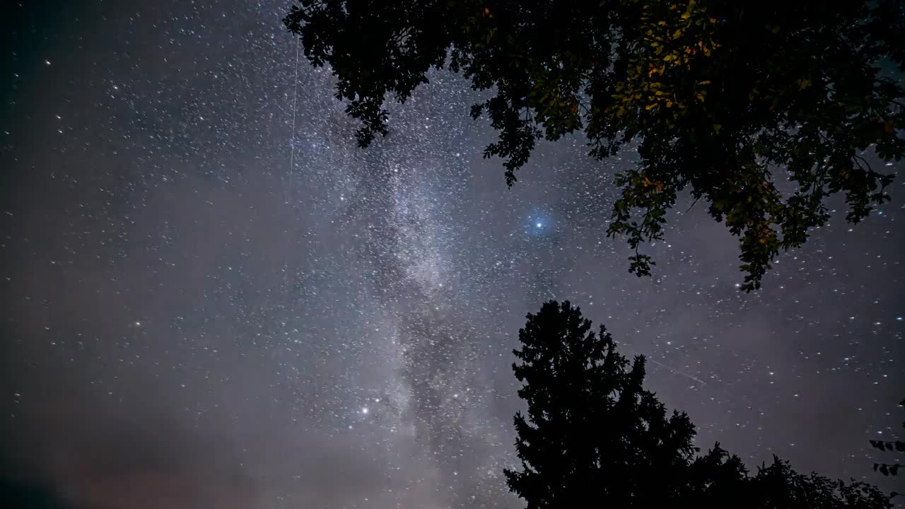 真正的彩色夜空星星。4k延时惊人的星星在天空。从地面俯瞰。夜晚星空与发光的星星和流星的痕迹在树上。明亮的蓝色。延时，延时视频素材