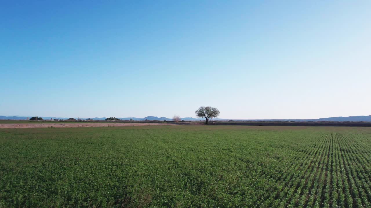 亚利桑那州干旱时期的大片农田视频素材