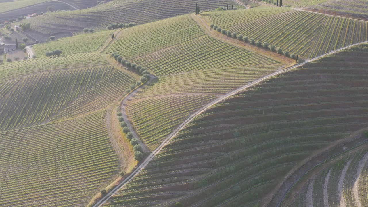 鸟瞰葡萄牙Pinhao村附近杜罗河谷的梯田葡萄园;葡萄牙旅游的概念和葡萄牙最美丽的地方。
杜罗河葡萄酒产区靠近波尔图，夏日视频素材