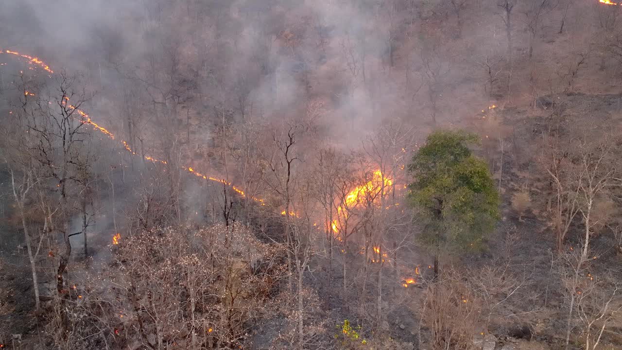 气候变化:野火释放的二氧化碳(CO2)和其他温室气体(GHG)导致气候变化和全球变暖。视频素材