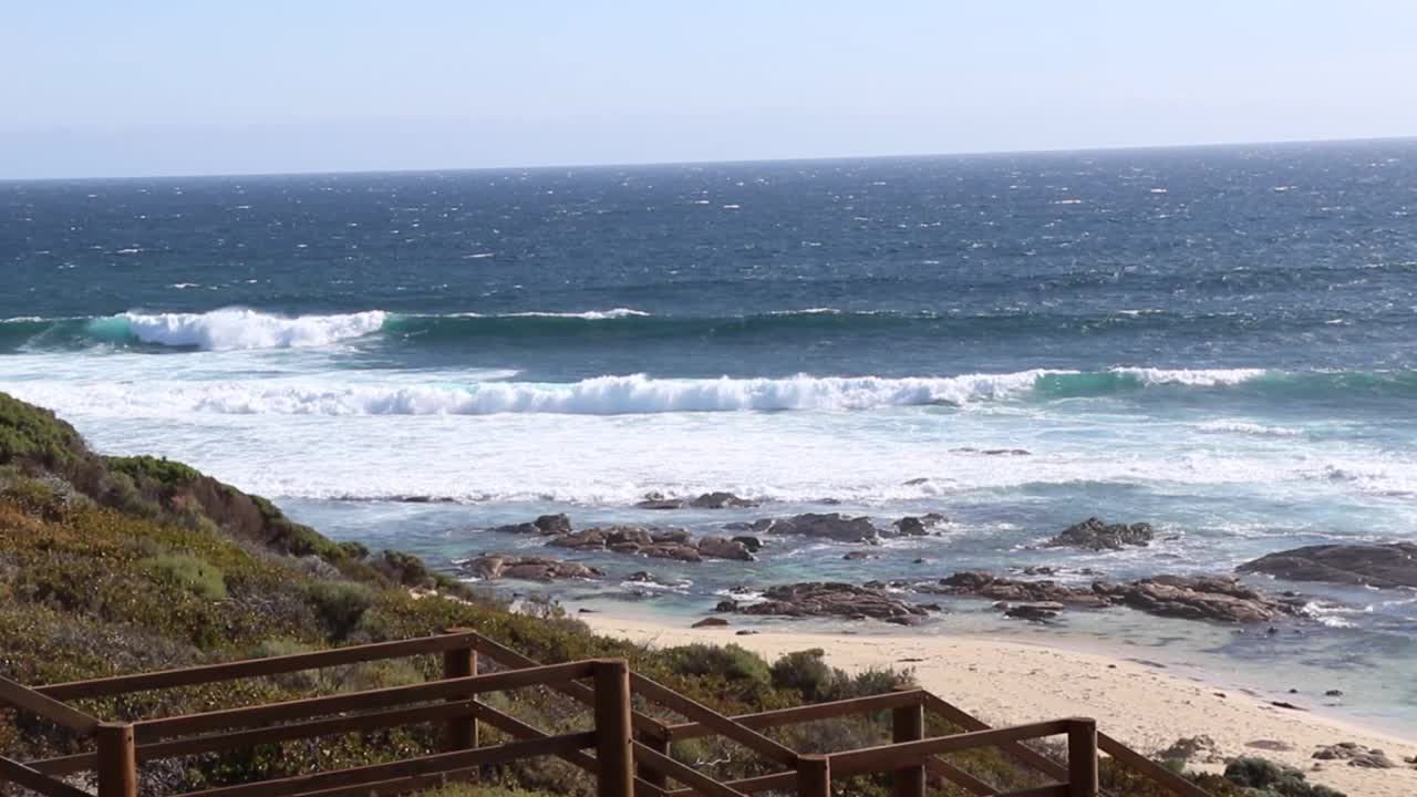 Cape Naturalist海岸荒野视频下载