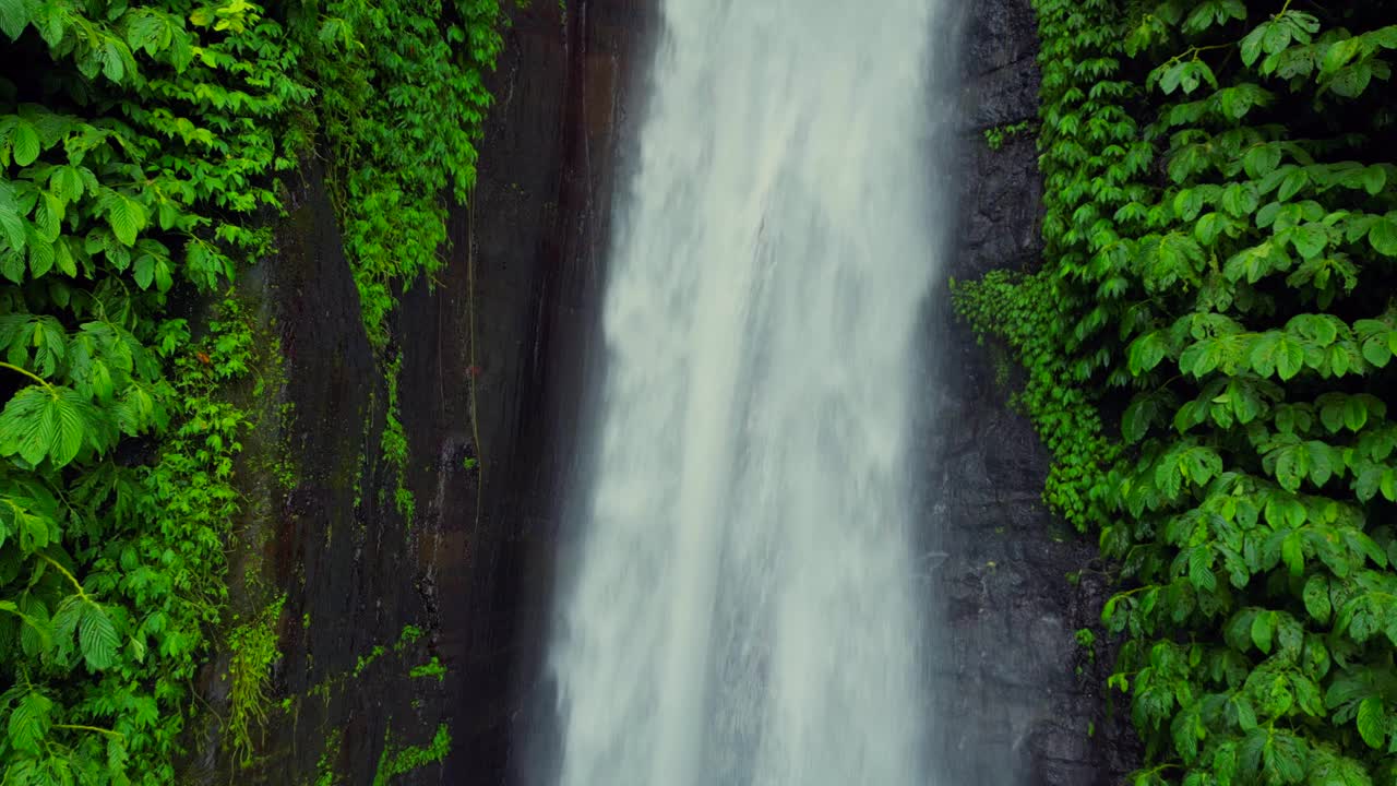 瀑布在巴厘岛开花。视频素材